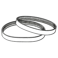 Eagle Belt