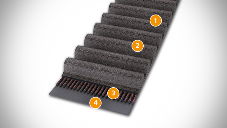CONTI SYNCHROFORCE CARBON timing belt sectional structure