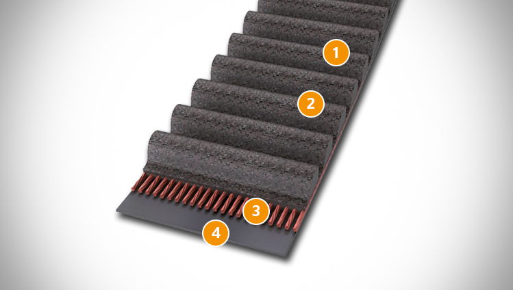 CONTI SYNCHROLINE timing belt sectional structure
