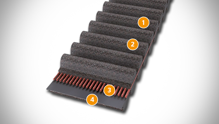 CONTI SYNCHROTWIN CXP timing belt sectional structure
