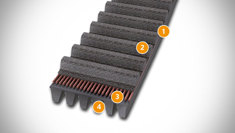 CONTI SYNCHRORIB CXP/CXA timing belt sectional structure