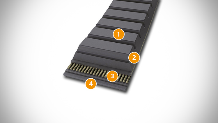 CONTI V MULTIRIB belt sectional structure