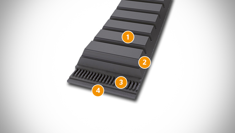 CONTI V MULTIRIB belt sectional structure