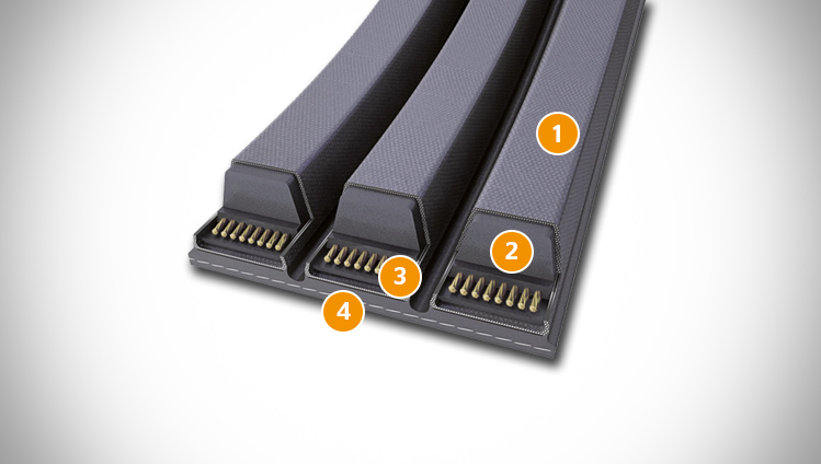 CONTI V MULTIRIB belt sectional structure