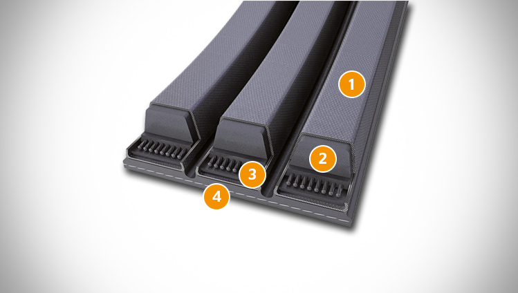 CONTI V MULTIRIB belt sectional structure