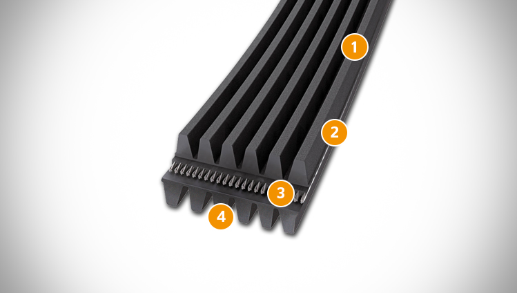 double-sided CONTI V MULTIRIB belt sectional structure