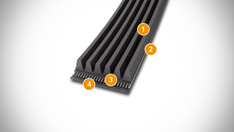 CONTI V MULTIRIB belt sectional structure