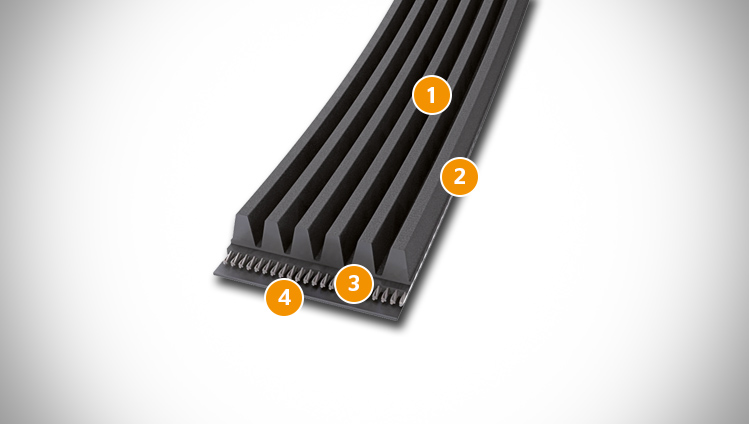 CONTI V MULTIRIB belt sectional structure