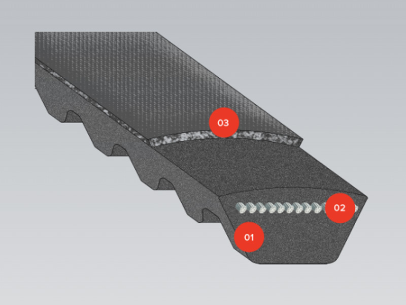 VARISECT belt cross-section structure