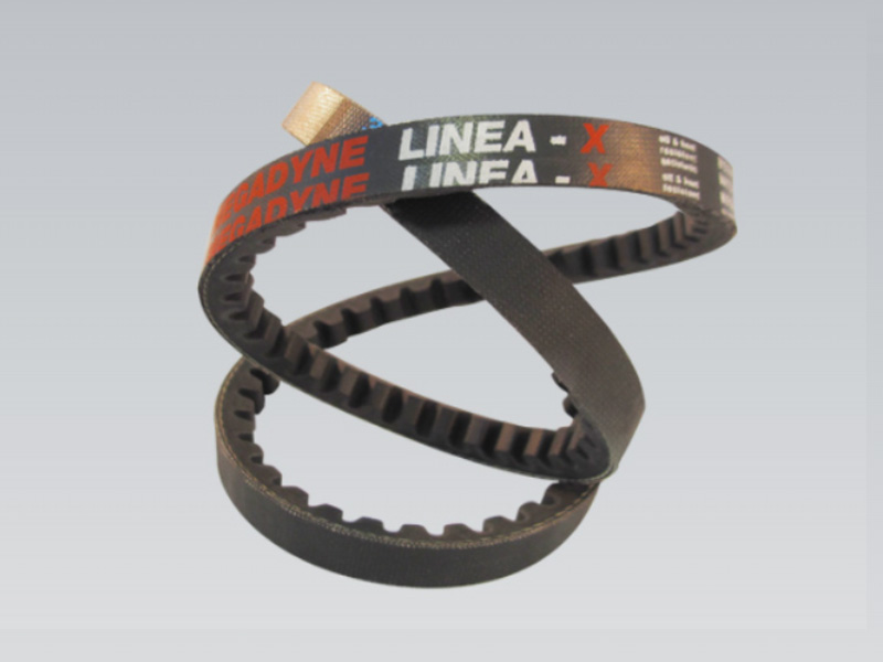 LINEA X cogged v-belt